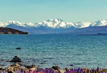 新西兰皇后镇市区出发 库克山冰川  畅游南北岛包车 私人专享【专属客服和本地中文司机，一家一团包车】