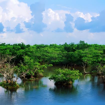 东南亚文莱 包车一日游（包车10小时）
