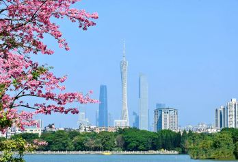 私家包团广州1日游+黄埔军校/博物馆+陈家祠+永庆坊+白云山【私家旅行：一单一团，不拼客，专属旅行 品质服务：小车上门接送，专职司机护航】