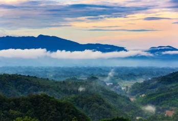 雅安碧峰峡一日游【私家团&1单1团&含门票&三环内接送】【[优势亮点]私家团含大熊猫基地门票+观光车+电梯、ViP一单一团，不拼车，专车专用，属于专属空间。】