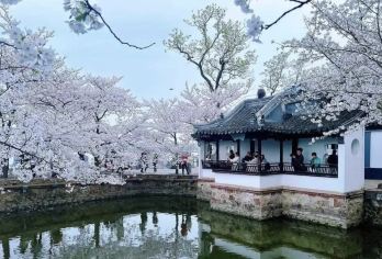 无锡鼋头渚&拈花湾&灵山大佛 包车一日游｜苏州出发-亲子游T【灵山大佛晨光瞻仰：晨光中仰望青铜大佛，感受庄严慈悲，净化心灵之旅始于此。 菩提大道寻佛迹：漫步菩提大】