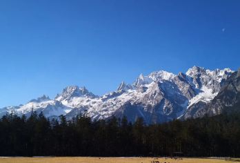 丽江玉龙雪山大索道+蓝月谷一日游（7-17人商务团+午餐）【7-17人商务小团，人少更舒心】