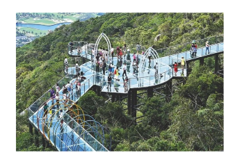 中国三亚+天堂森林公园+玻璃栈桥可定制行程 【车型丰富，满足您的需求】