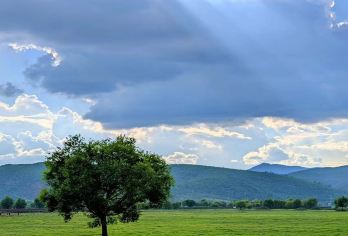 丽江拉市海一日游上门接送网红会所打卡独立用餐可选千古情【深度游玩拉市海】