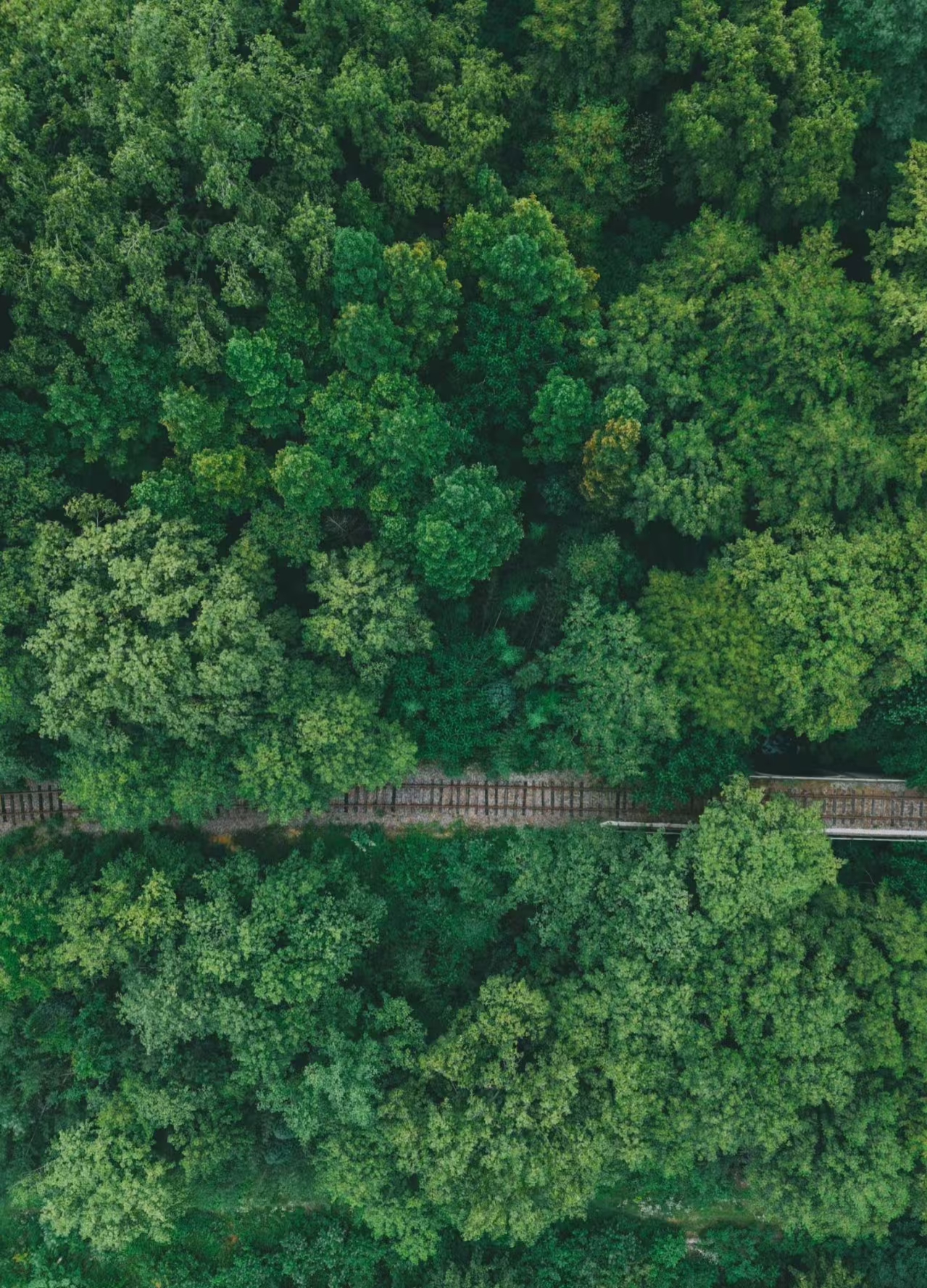 信阳市区往返包车｜鸡公山-波尔登森林公园包车游（多车型可选）
