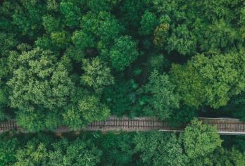 信阳市区往返包车｜鸡公山-波尔登森林公园包车游（多车型可选）【[一对一包车]专车上门接送，车辆费用全含】