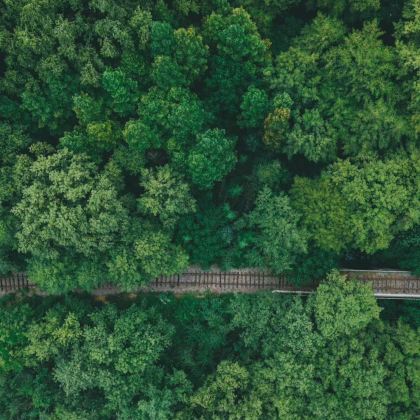 信阳市区往返包车｜鸡公山-波尔登森林公园包车游（多车型可选）