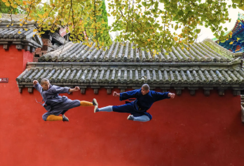 少林寺半日游【武术馆+常住院+少林寺塔林】不进购物店【[专业服务]3星级以上优秀导游服务，全天语音讲解器，往返舒适空调旅游车】