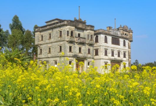 江门自力村+仓东村+塘口墟+酱油稻田咖啡一日|包车游上门接送【私家旅行：一单一团，不拼客，专属旅行； 品质服务：5座/7座车上门接送，专职司机护航】