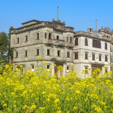 江门自力村+仓东村+塘口墟+酱油稻田咖啡一日|包车游上门接送