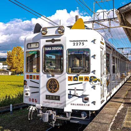 和歌山+贵志站+金枪鱼解体+白滨温泉+千畳敷+三段壁一日游