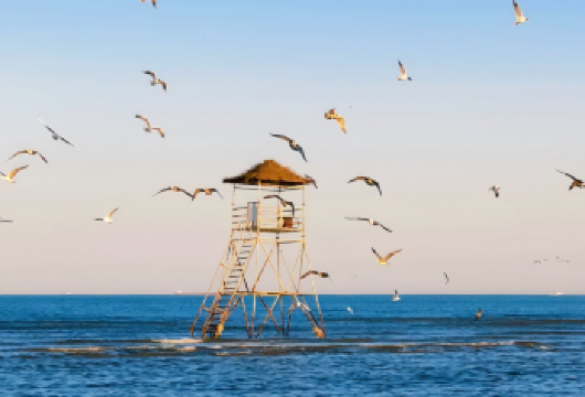 鸽子窝+天下第一关一日游·独立包车【家庭·团建·考察·定制】【「秦皇岛·承德·张家口·石家庄·保定·唐山·邯郸·廊坊·沧州·邢台」— 这么近，那么美，周末到河北！】