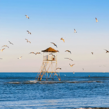 鸽子窝+天下第一关一日游·独立包车【家庭·团建·考察·定制】