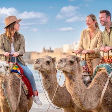 悉尼：猎人谷葡萄酒品尝+史蒂芬港沙丘游（自费滑沙/骆驼体验）