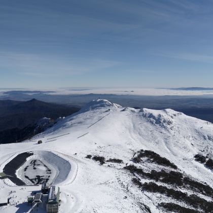 墨尔本Mt Buller雪山 包车一日游
