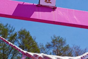 日本札幌出发打卡小樽积丹半岛/可登别富良野北海道多日包车精选【包车一日游，解锁旅行新方式！独立车辆配备经验丰富的老司机，为您量身打造专属行程。】