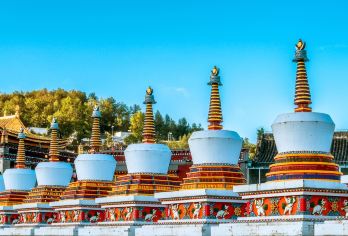 塔尔寺+青海藏文化博物院+日月山【中文司机+10小时VIP小团服务】