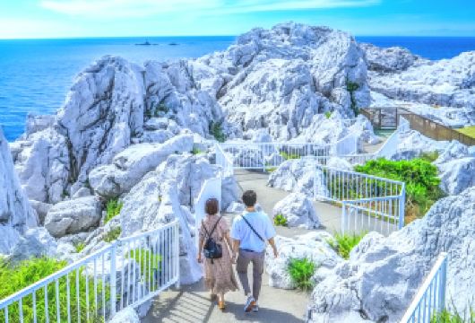 日本和歌山白良滨包车一日游 | 自由定制行程 | 随停随玩【家庭游”+“情侣度假”+“温泉+海滩组合】