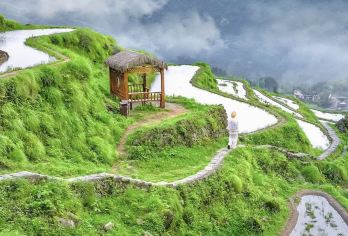 丽水—云和：云和梯田+坑根石寨+云和湖仙宫   景点可定制G【全程中文/英文/俄语/小语种服务，沟通无障碍，景点可调,多种车型可选】