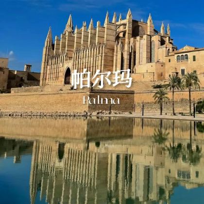 帕尔玛大教堂＋阿拉伯浴室＋德拉赫洞穴＋帕尔玛海滩包车一日游