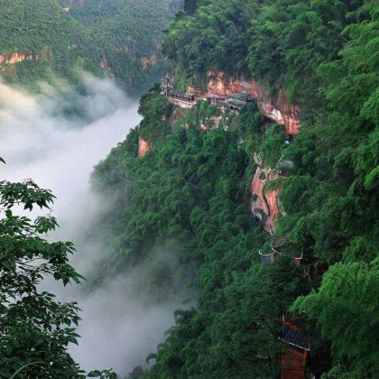 宜宾蜀南竹海+李庄旅游度假区一日游【2-6人小团】