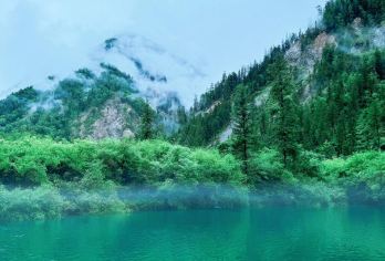 九寨沟-黄龙九寨高铁站直通车【诺日朗瀑布*中国宽瀑布**（宽270米）：《西游记》片尾取景地，夏季水量充沛】