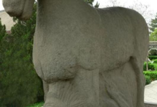 乾陵+懿德太子墓+茂陵+汉武帝墓【包车游/5座7座9座可选】【打卡一代女皇无字碑的神秘；感受盛世大唐的荣耀】