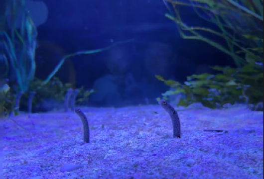 纽约雪城大学+运河博物馆+麦克马洪公园+塞奇莫湖公园一日游【[定制包车游]专享中文司机独立包车，市区范围酒店上门接送，行程路线天数可根据个人需求调整。】