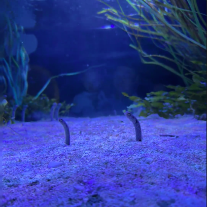 纽约雪城大学+运河博物馆+麦克马洪公园+塞奇莫湖公园一日游