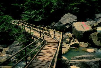 体验“四十二拐”，沿绝壁而上【七星寨景区+鹿院坪】【中文司机】