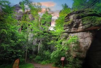 【纯玩小团】汤旺河林海奇石风景区+新青湿地+鹿溪牧场一日游【6人纯玩小团，往返专业接送， 可独立包车多款车型选择】