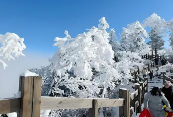 延吉长白山二道雪岭/老里克湖一日游【可选二道白河或延吉出发】【本品为 2-6人小团 可选二道白河（长白山）/延吉出发 延吉出发二道白河结束 或二道白河出发延吉结束】