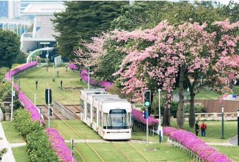 私家小团上门接送|游玩广州经典景点+有轨电车+可选珠江夜游【私家旅行：一单一团，不拼客，专属旅行； 品质服务：5/7座小车上门接送，专职司机护航】