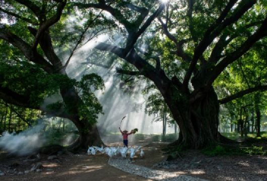 【霞浦日落线】2-8人精致小团 霞浦城区可接【[省时省力]霞浦城区上门接站】
