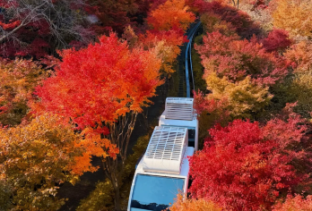 首尔近郊一日游｜恩平韩屋村 × 和谈林单轨列车｜中文包车专享【[隐于都市的韩屋美学]漫步北汉山脚下恩平韩屋村，融合传统与现代设计，感受静谧雅致的韩式生活氛围】