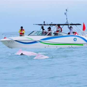 三娘湾看海豚+犀丽湾+乌雷村+仙岛公园/上门接送朋友式接待