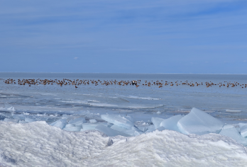 西宁周边1日游【车辆升级为豪华9座商务车；保姆座椅，正规旅汽资质，专业司机兼职向导，为旅行保驾护航】