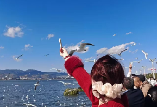 昆明+滇池+云南民族村+西山风景名胜区+龙门一日游【[车辆品质]有资质的正规旅游车辆，安全，舒适，整洁！】