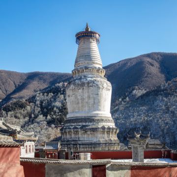 太原/忻州出发·五台山一日游【2-8人拼小团】商务车上门接送