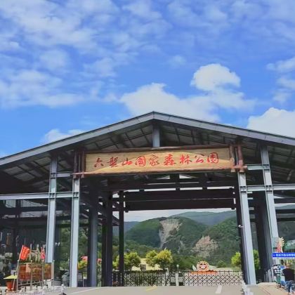 固原六盘山国家森林公园+六盘山红军长征旅游区1日活动