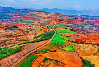 昆明东川红土地一日游【8人内小团+二环内接+赠特色烤洋芋】【[小众玩法]阿富专线，避开传统景点，摄影天堂，大自然调色板，和网红爷爷合影，落叶归根拍摄地；】