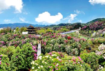 贵州贵阳+百里杜鹃风景区包车定制一日游EA【车接车送，专业地接团队。全天包车8小时，景点可调整，时间自由。】