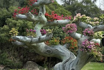 永定高北土楼群加植物园包车一日游【私人定制包车服务，全程时间充足，轻松自由行线路，家人般的接待精致小团专属服务】
