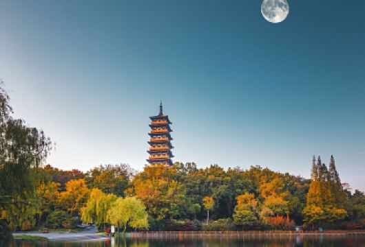 【杭州出发】西湖风景名胜区+雷峰塔+灵隐飞来峰景区一日游【纯玩无购物】