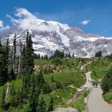 美国西雅图市区往返奥林匹克国家公园飓风岭等-包车-精选