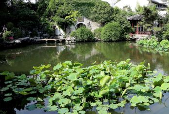 上海往返 苏州寒山寺+枫桥景区+艺圃+金鸡湖舒适包车一日游【打卡苏州小众园林景点，感受江南水乡的优雅】