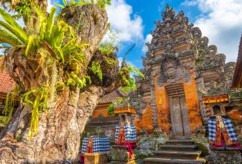 巴厘岛乌布+德格拉朗梯田+圣泉寺一日游【专车出行丨可选中文】【私家专车小团，拒绝人多拥挤，行程更自由】