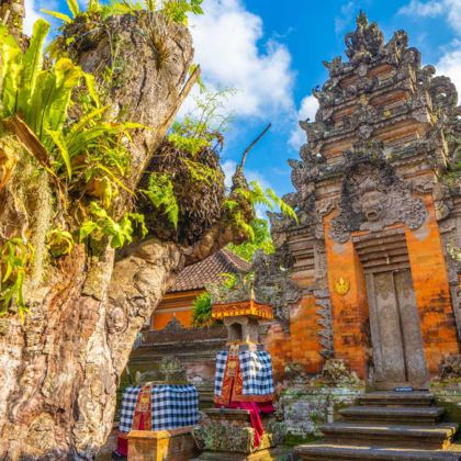 巴厘岛乌布+德格拉朗梯田+圣泉寺一日游【专车出行丨可选中文】