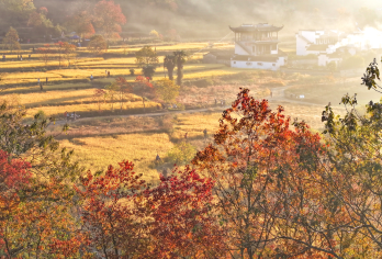呈坎古镇＋塔川＋木坑竹海一日游【黄山出发】【赏秋专线】【[精品纯玩]睡醒出发，说走就走的旅行，真正的纯玩无购物无隐形消费，包含用车、让您的旅途更精彩！】