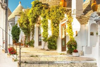 【南意】阿尔贝罗贝洛蘑菇村+悬崖小镇包车一日游【中文司机】【[中文专车+行程可调]】